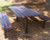 Avondale Picnic