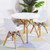 Kid's Modern Dining Table Set with 2 Armless Chairs B593-HW61364-2