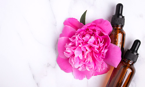 servicio fitoterapia