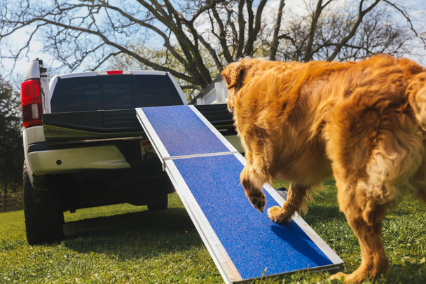 EZ-ACCESS FOUR RUNNER Portable Pet Ramp