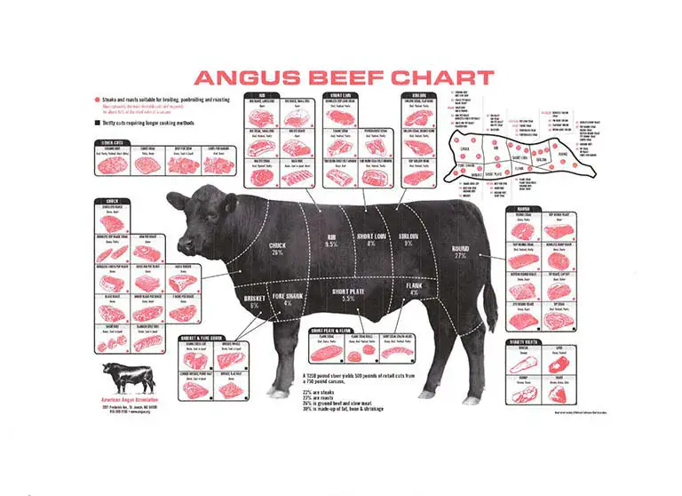 Angus beef chart showing different cuts of beef