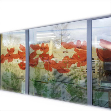 Transparent Sticker Printing