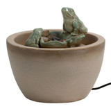 Frog Fountain