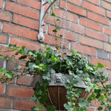 Lion Hanging Basket Hook