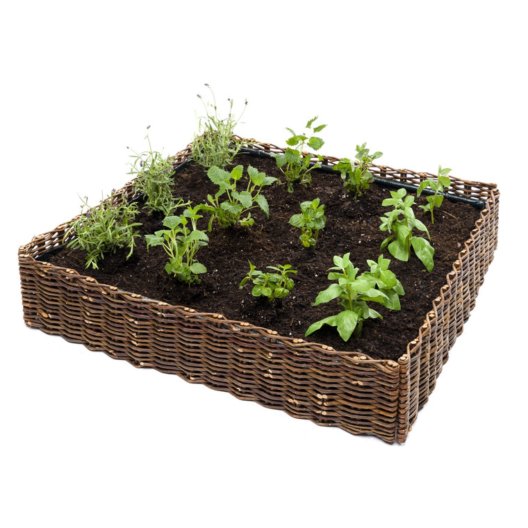 Vegetable Planter