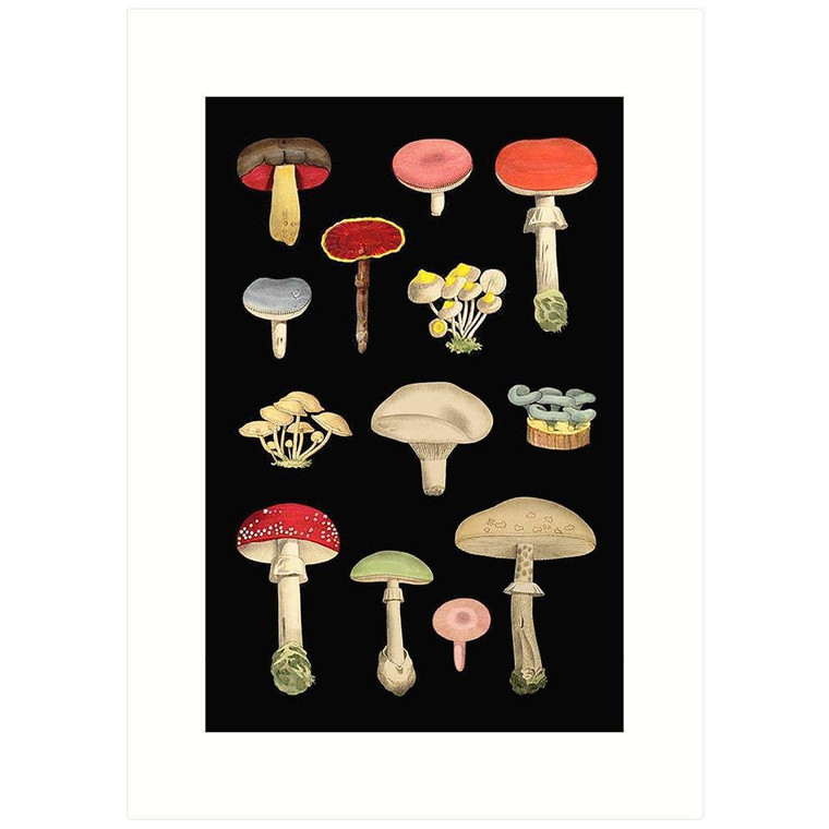 Mushroom Card