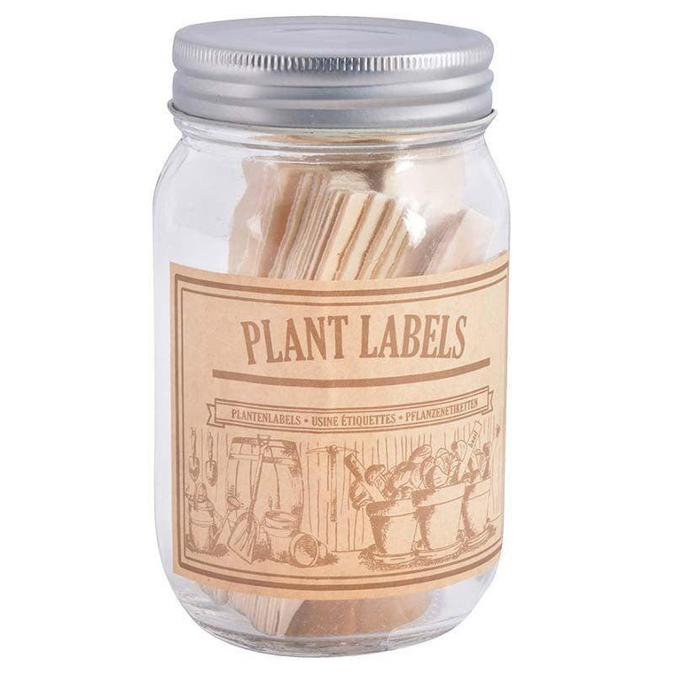 Wooden Plant Labels in Jar