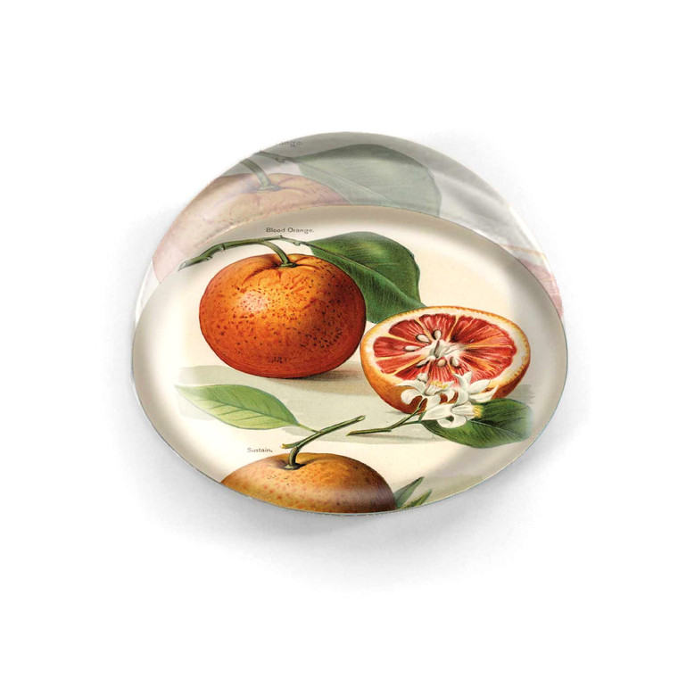 Blood Orange Fruit Kitchen Desk Paperweight