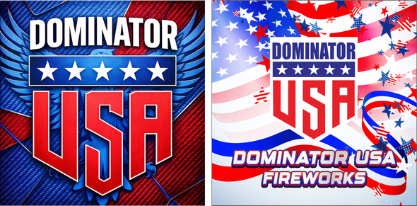 1M X 1M DOMINATOR USA BANNER