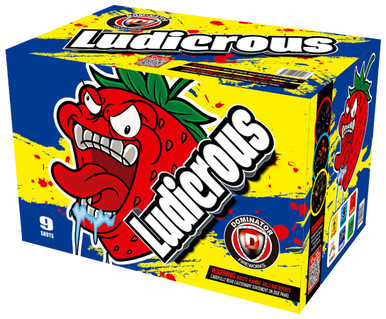 Ludicrous 500g Fireworks Cake