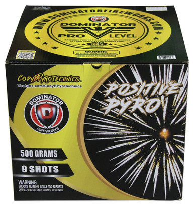 CodyB Nishiki and White Stobe Pro Level 500g Fireworks Cake