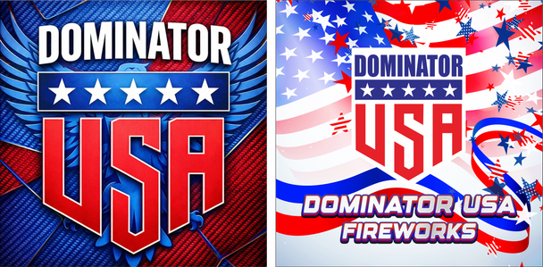 1M X 1M DOMINATOR USA BANNER