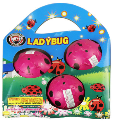 Ladybug Flyer 3 Piece