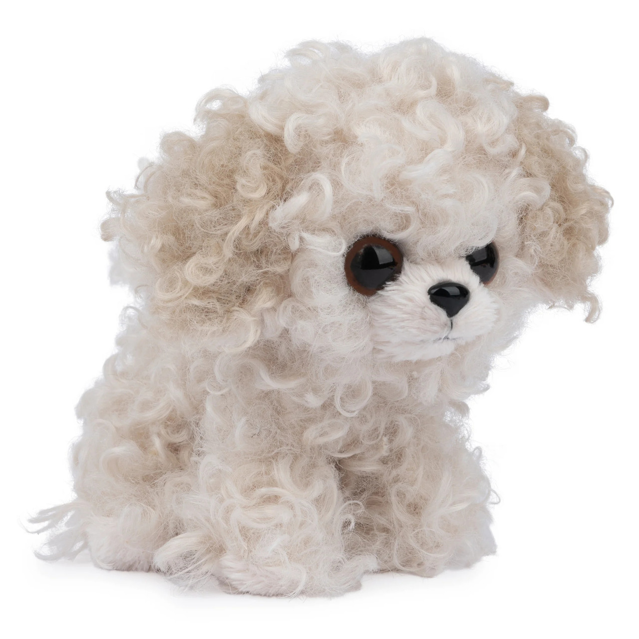 Toy poodle clearance mix maltipoo