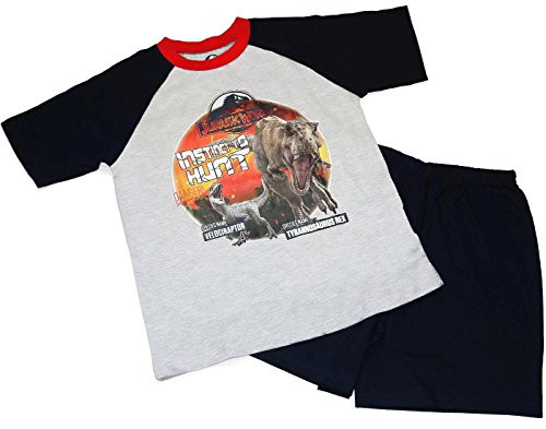 Jurassic World Velociraptor and T-Rex Danger Pajama Shorts Set | Little Dreamers Pajamas