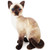 Stefan The Siamese Chocolate Point Cat, Kitty, 13" Plush Stuffed Animal | Little Dreamers Pajamas