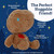 E.T. Cuteeze Character Stuffed Animal, Plush Alien 12" by Kids Preferred