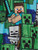 Minecraft Boy's Steve and Creeper Mob Long-Sleeved Flannel Pajama Set, Size 8