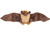 Wild Republic Mini Cuddlekins 5" Plush Brown Bat, Stuffed Animal, 17" Wingspan | Little Dreamers Pajamas