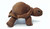 Wild Republic 12" Cuddlekins Tortoise, Plush Stuffed Animal