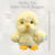 World's Softest Plush Huggee 11 Inch - Baby Chick, Stuffed Animal