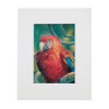Red Macaw – Matted Art Print
