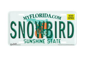 "Florida State Snowbird" - Decorative License Plate