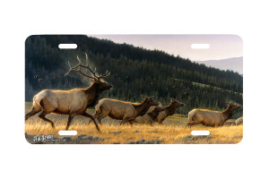 "Flyin High" - Decorative License Plate