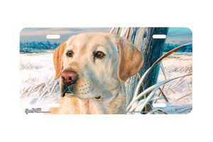 "Frozen Moment" - Decorative License Plate