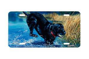 "Having A Ball" - Decorative License Plate