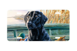 "Old Pro" - Decorative License Plate