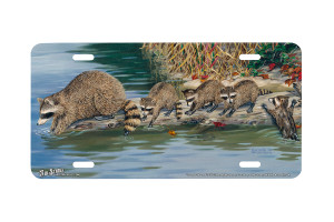 "Loose Caboose" - Decorative License Plate