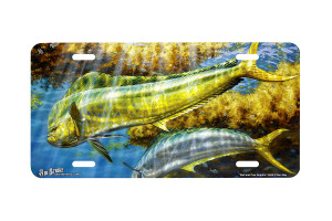 "Bull And Cow Dolphin" - Decorative License Plate