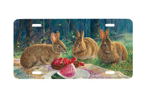 "Sunny Bunnies" - Decorative License Plate