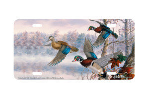 "Cruise Control" - Decorative License Plate