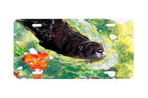 "On A Mission" - Decorative License Plate