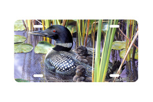 "In The Swim of Things" - Decorative License Plate