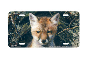 "Just Shy Of Sly" - Decorative License Plate