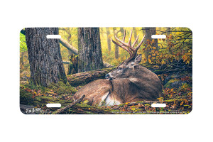 "The Forest Is Never Silent" - Decorative License Plate