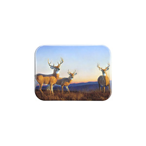 "Sundown" - 2.5" X 3.5" Rectangle Fridge Magnets