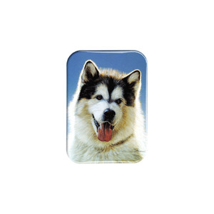 "Husky Pup" - 2.5" X 3.5" Rectangle Fridge Magnets