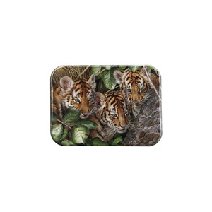 "Hide And Seek" - 2.5" X 3.5" Rectangle Fridge Magnets