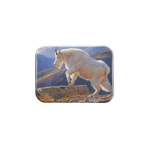 "Alpine Aura" - 2.5" X 3.5" Rectangle Fridge Magnets