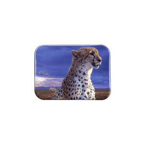 "African Tempest " - 2.5" X 3.5" Rectangle Fridge Magnets