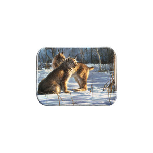 "Lynx Light" - 2.5" X 3.5" Rectangle Fridge Magnets