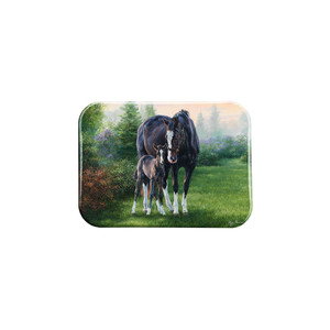 "Welcoming Wysteria" - 2.5" X 3.5" Rectangle Fridge Magnets