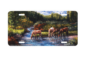 "Somewhere in Heaven" - Decorative License Plate