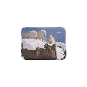 "Arctic Alliance" - 2.5" X 3.5" Rectangle Fridge Magnets