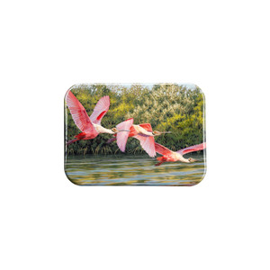 "Flight" - 2.5" X 3.5" Rectangle Fridge Magnets