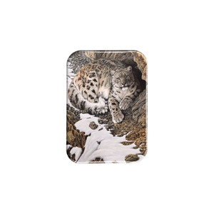 "The Mountain Ghost" - 2.5" X 3.5" Rectangle Fridge Magnets